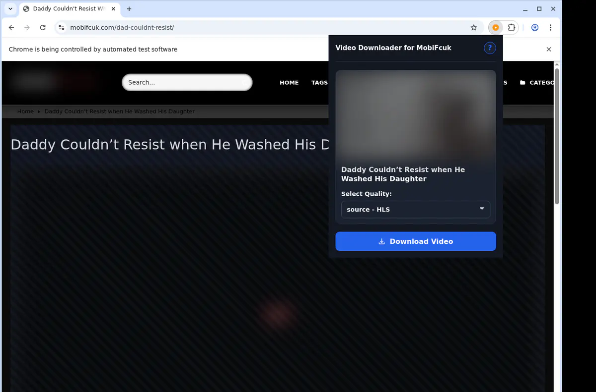 Mobifcuk Video Downloader screenshot 3